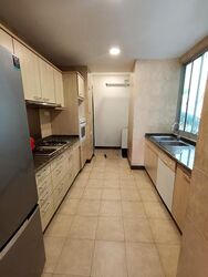 The Tessarina (D10), Condominium #496348781